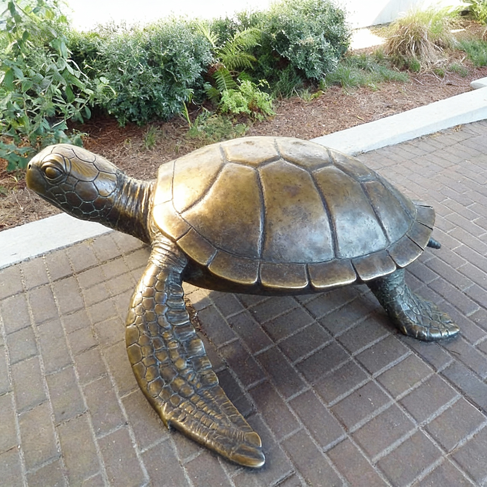 Bronze Sea Turtle Sculpture Outdoor