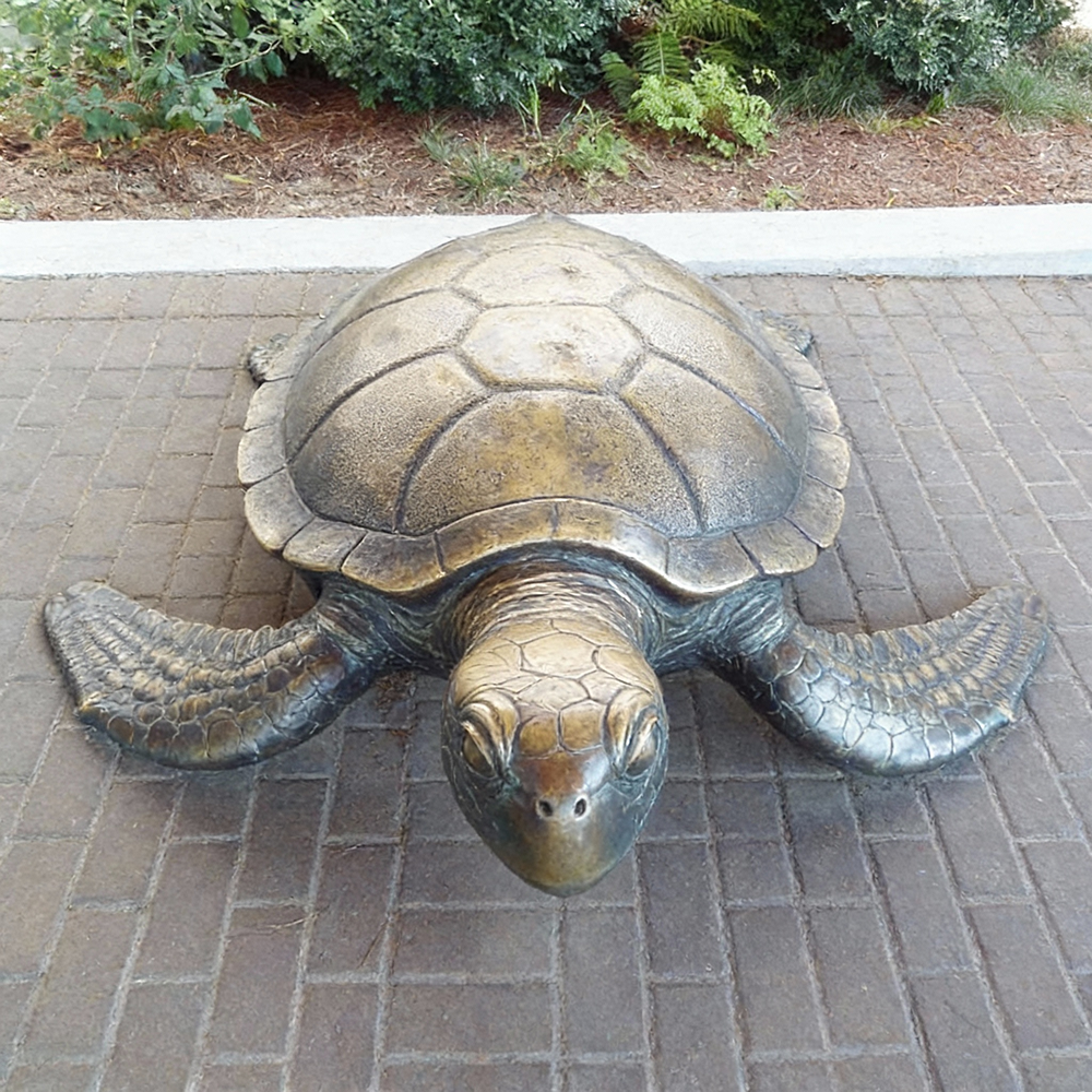 Bronze Sea Turtle Sculpture front view