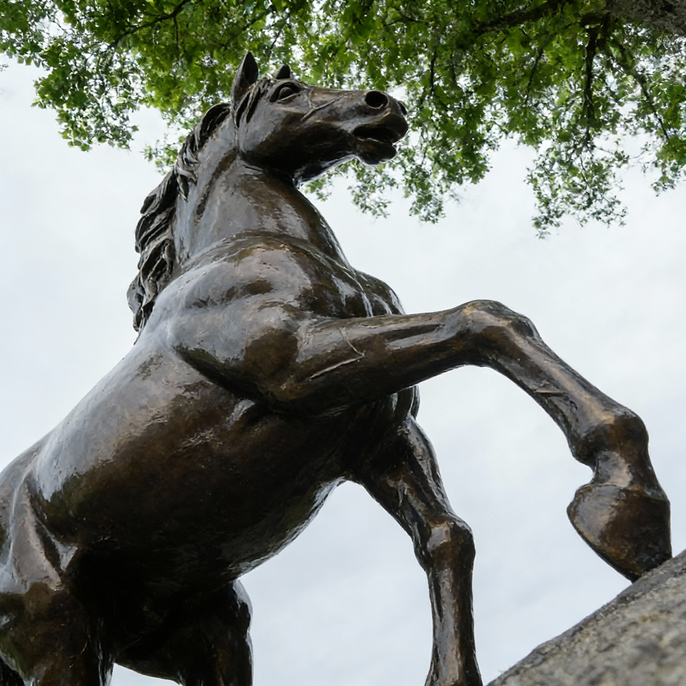 Bronze Walking Horse garden Sculpture