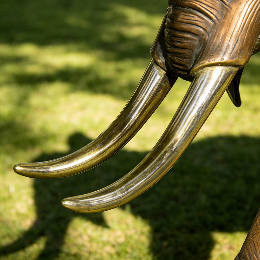 Elephant Lawn Sculpture bronze tusk close-up