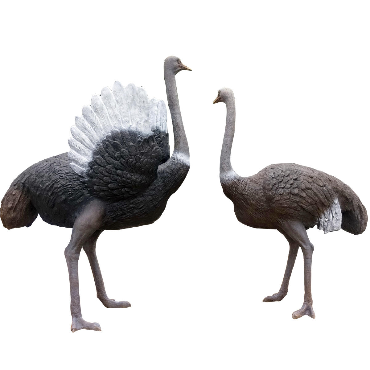 Life Size Ostrich Statue bronze garden pair