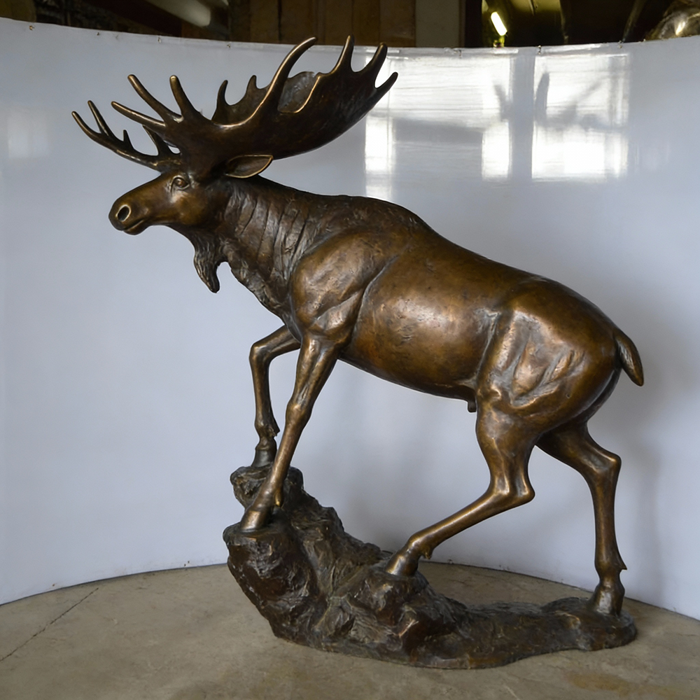 Moose Sculpture Life Size bronze full body