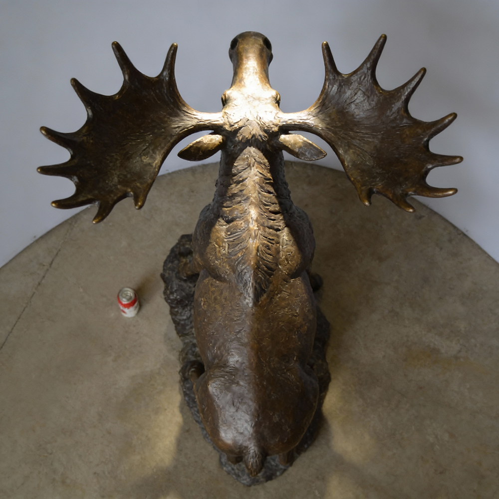 Moose Sculpture Life Size bronze top view