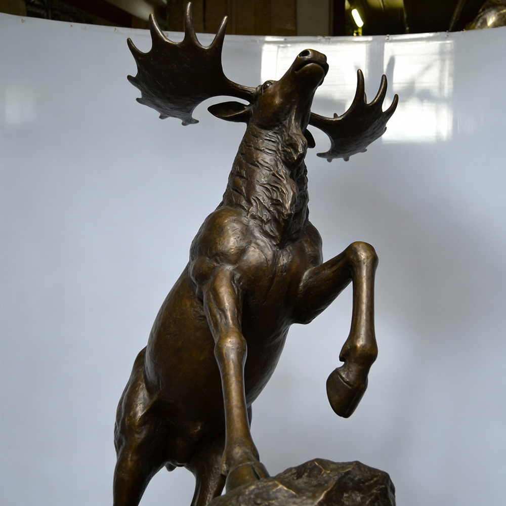 Moose bronze Sculpture Life Size