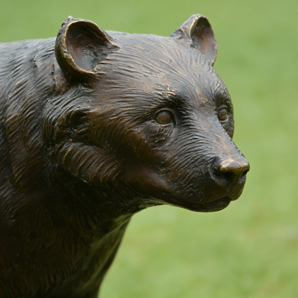Mother Bear with Cub bronze face close-up