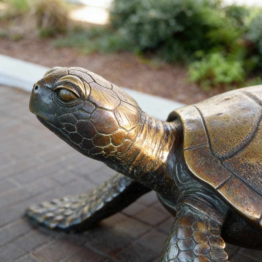 Sea Turtle Sculpture Outdoor head detail