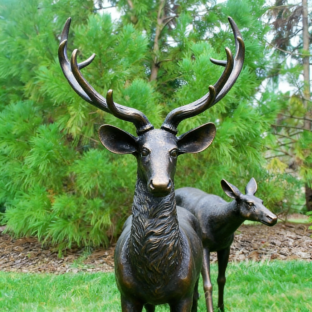 Stag and Doe Sculpture bronze front view in lawn