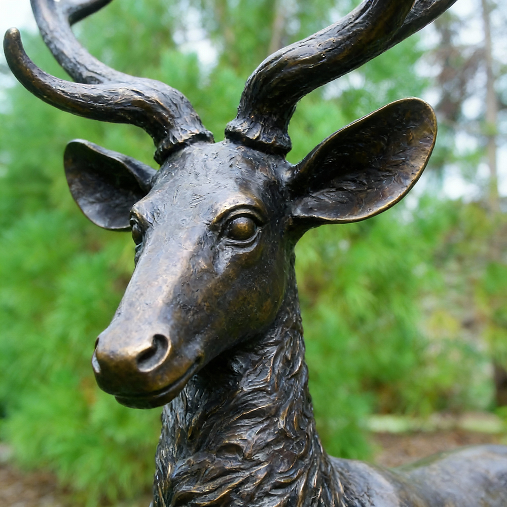 bronze Stag and Doe Sculpture head close-up detail