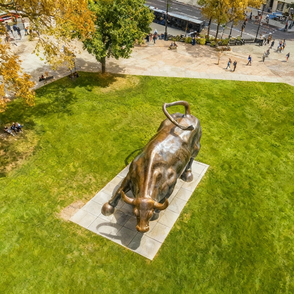 bronze wall street Bull Market Sculpture top view