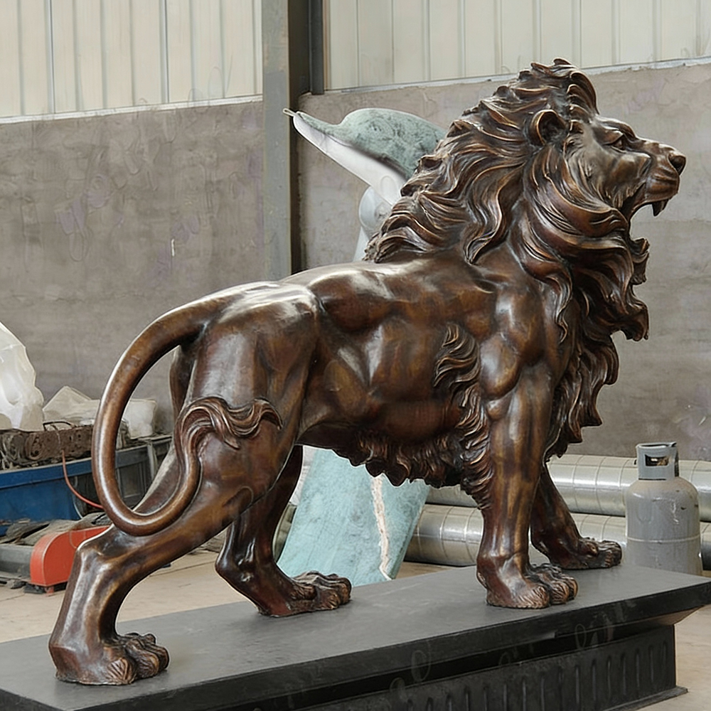 side view bronze Lion Roaring Statue with strong muscles