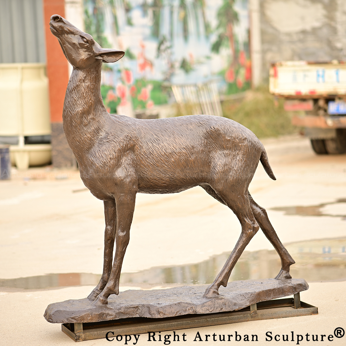 0 bronze female Whitetail Statue head raised