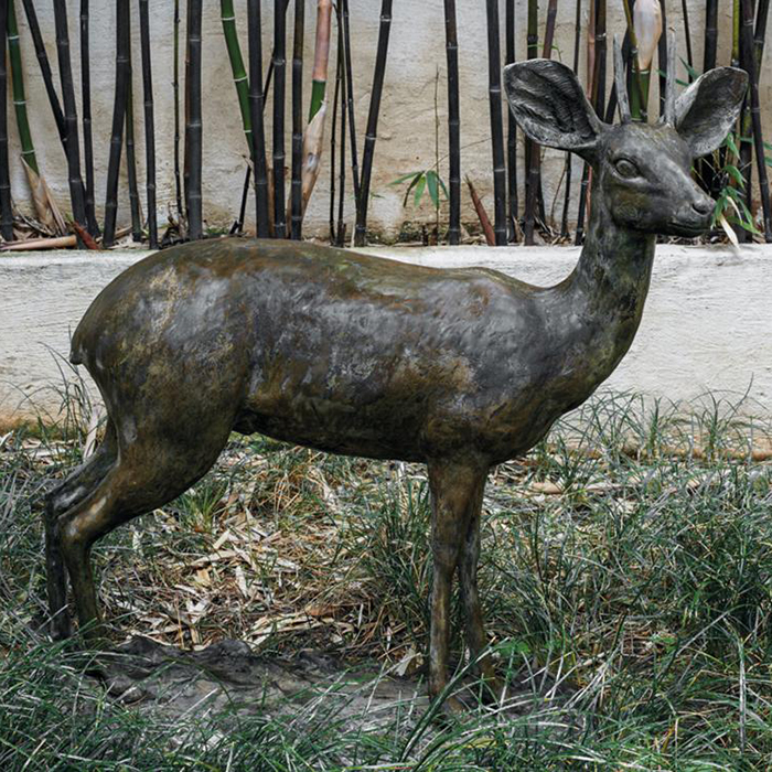 1-(1) Rustic bronze young deer beside bamboo fence