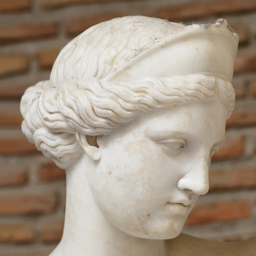Capuan Venus Greek Goddess
Aphrodite statue marble head