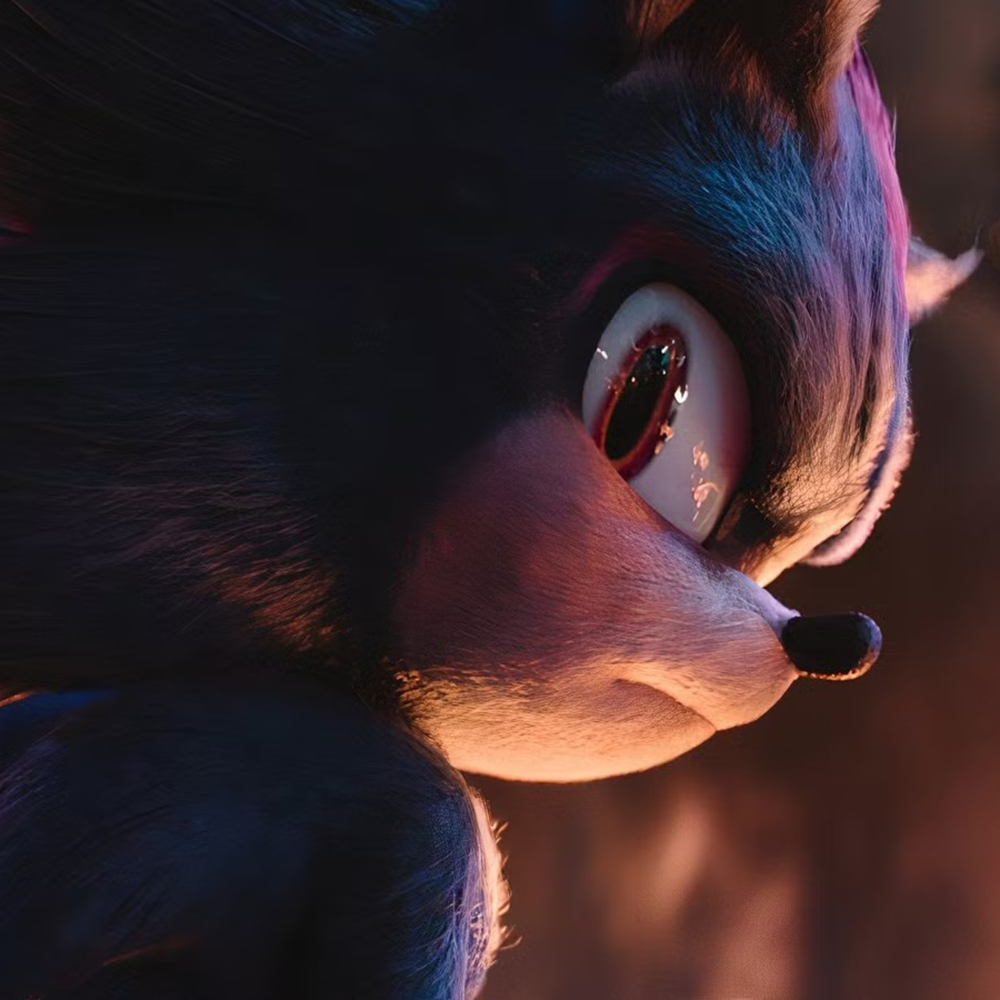 shadow the hedgehog (2)