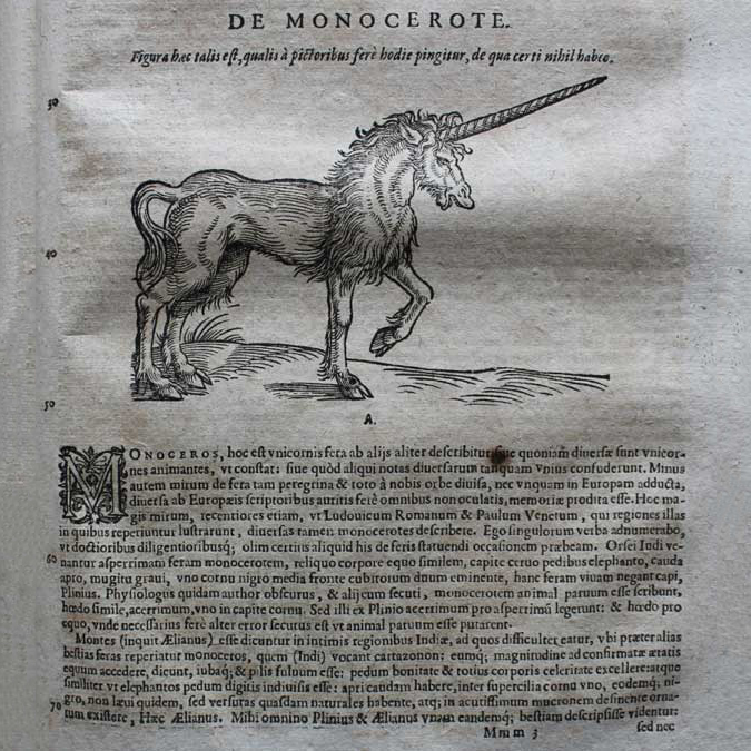 unicorn