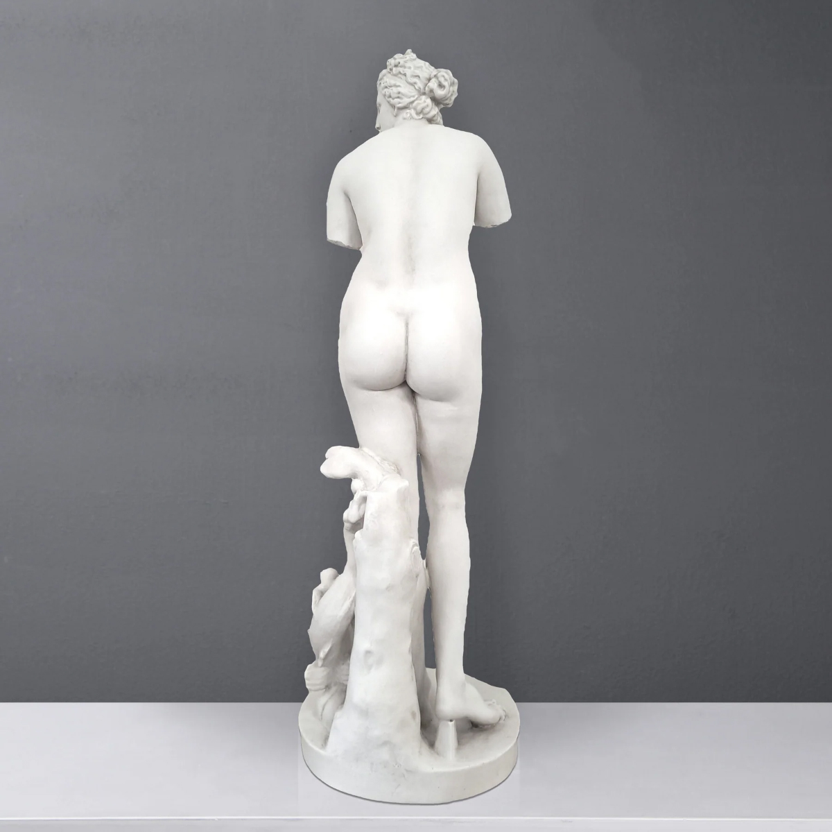 Back view of Medici Venus Statue sculpture