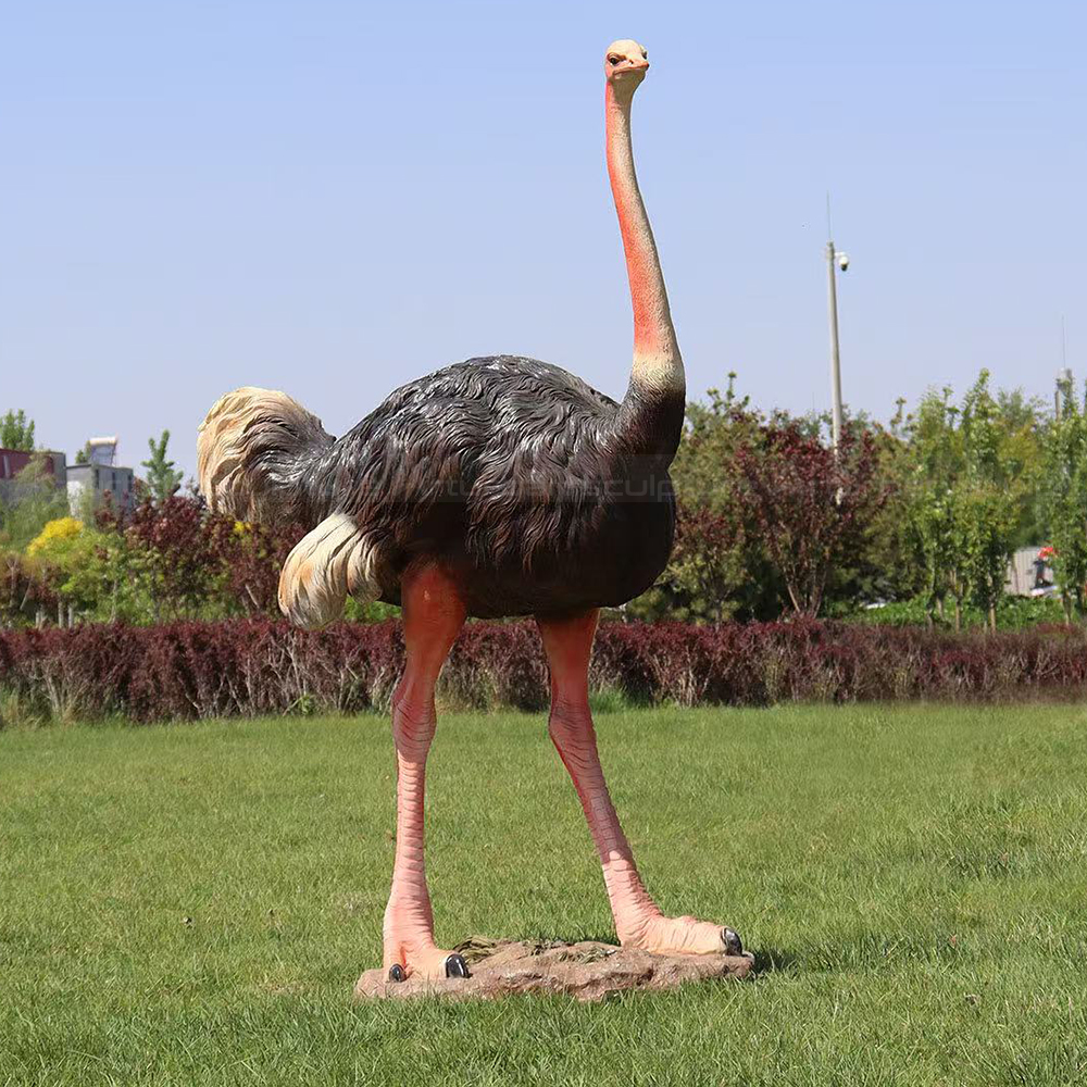 Fiberglass Life Size Ostrich Statue on lawn