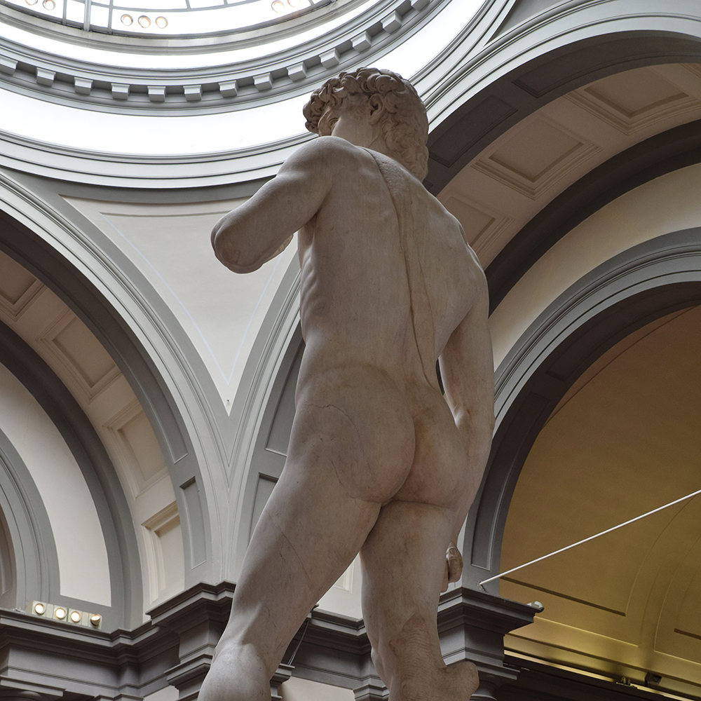 2 Michelangelo Statue back view