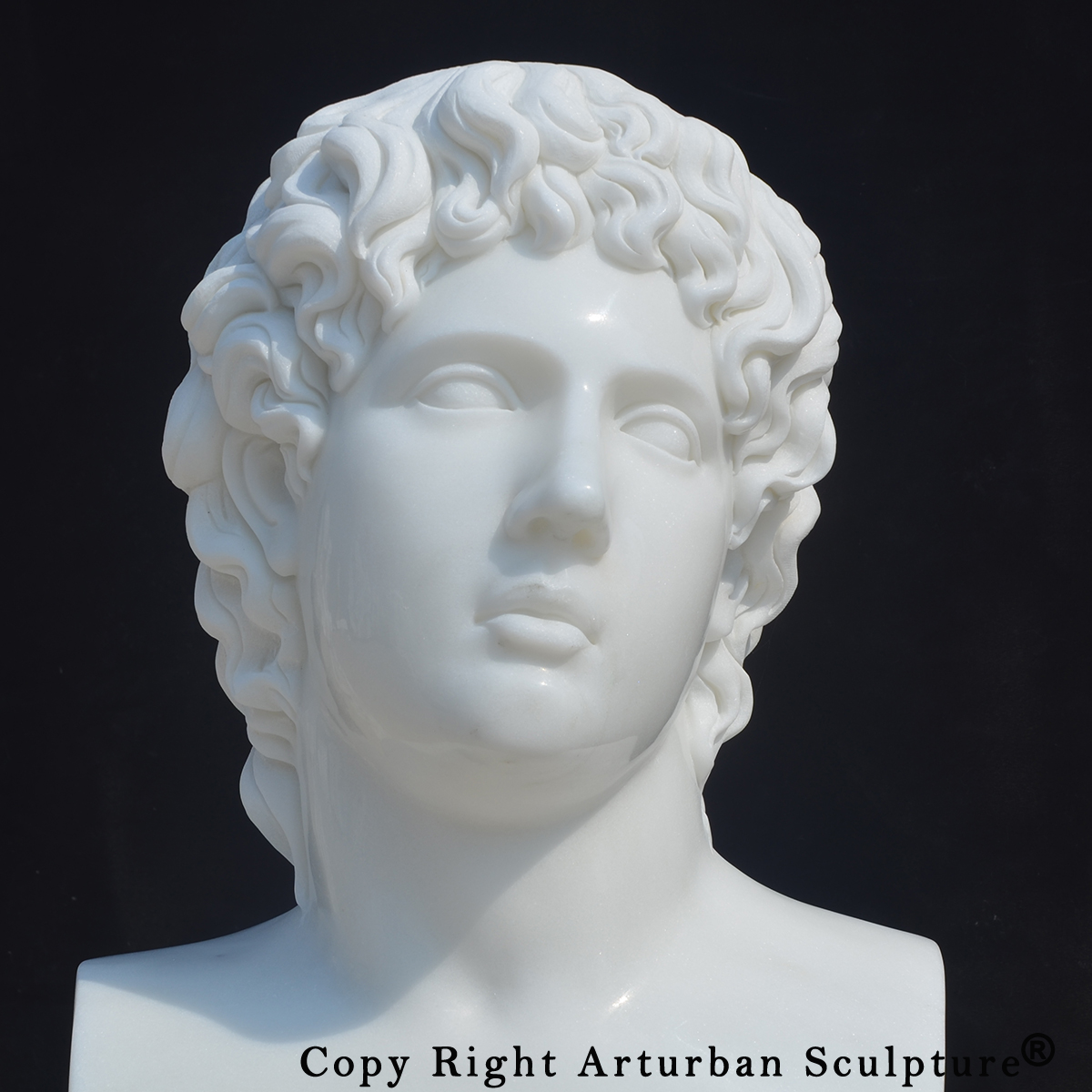 6 Close-up Alcibiades Sculpture bust with carved facial details