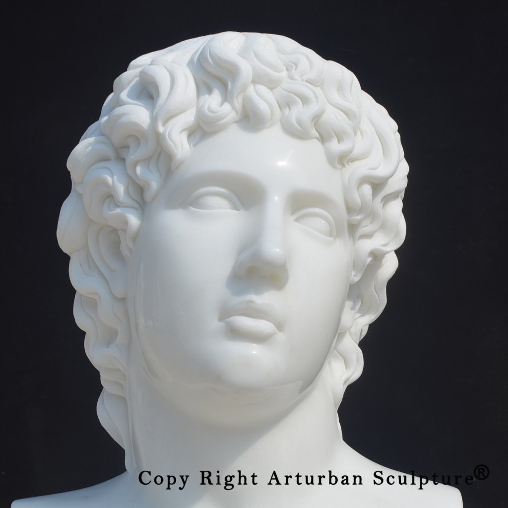 7 Marble Alcibiades bust with detailed curled hair