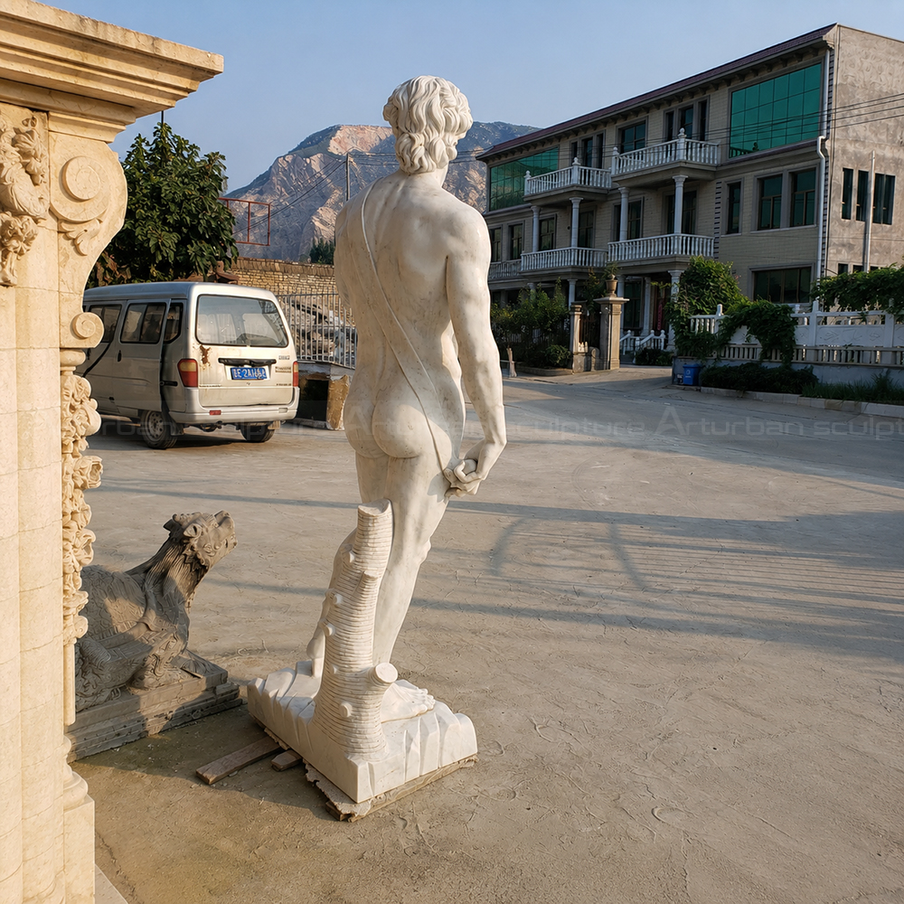 8.1 Rear view of marble David statue replica