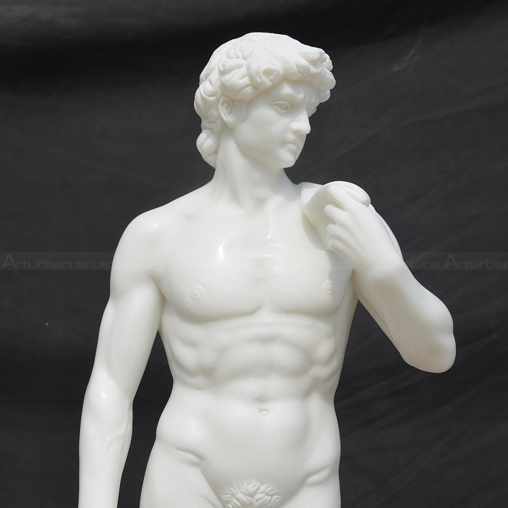 8.2 David sculpture replica upper body