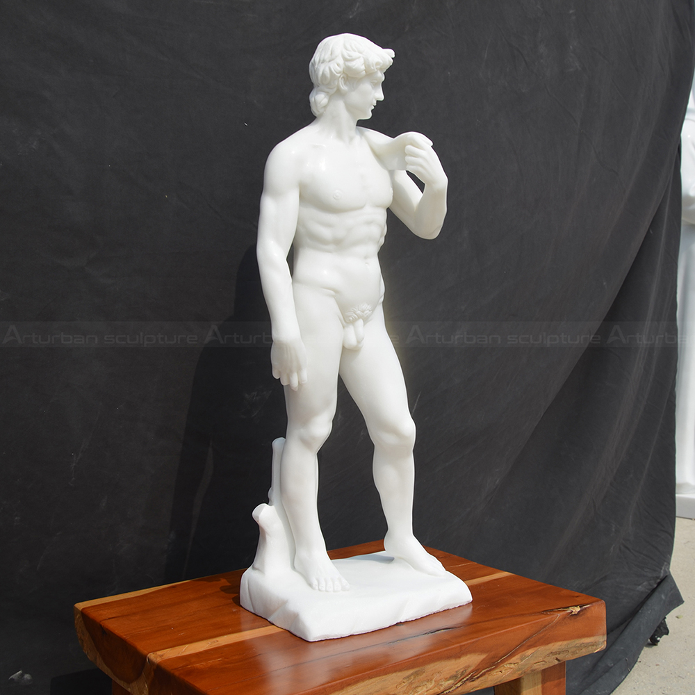 8.2 Side view of small marble David replica