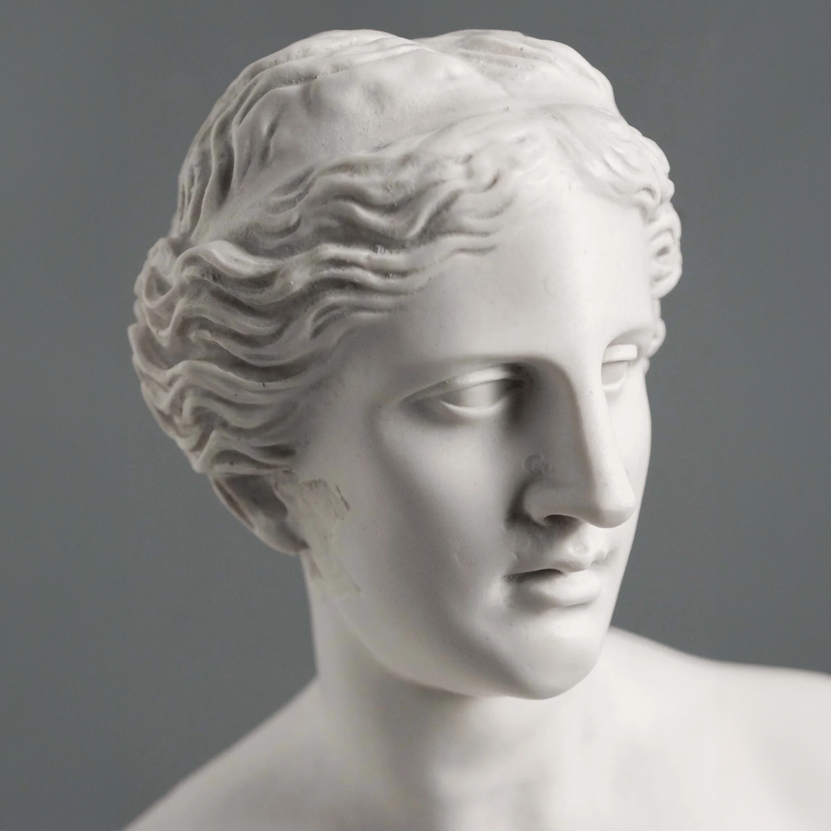 Armless Statue Venus de marble portrait