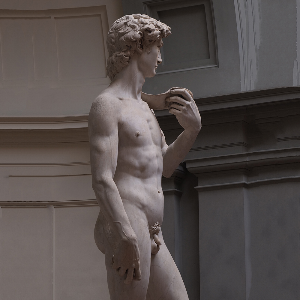 David marble statue side perspective