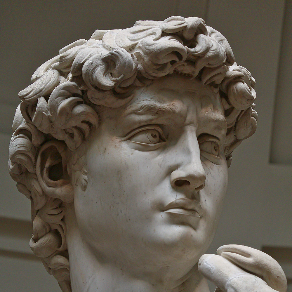 David sculpture detailed facial closeup