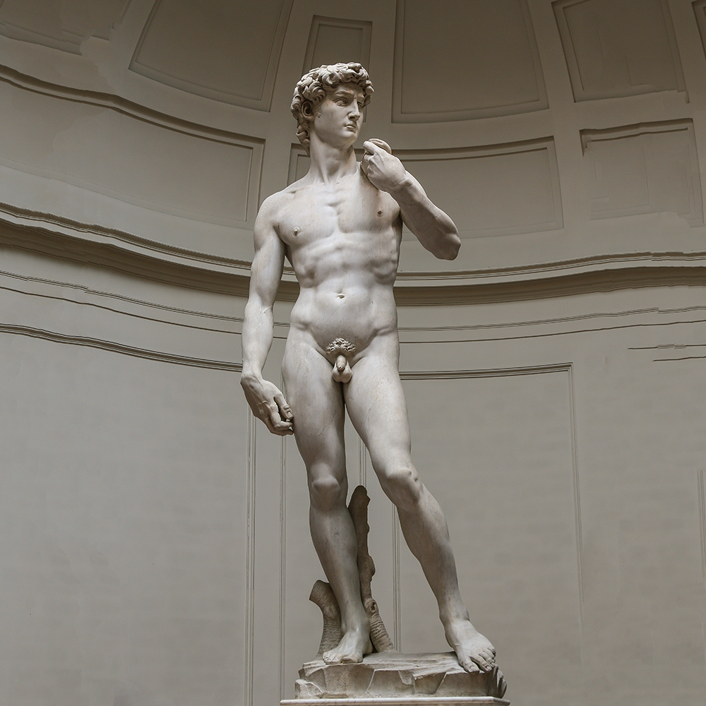 Michelangelo David statue museum