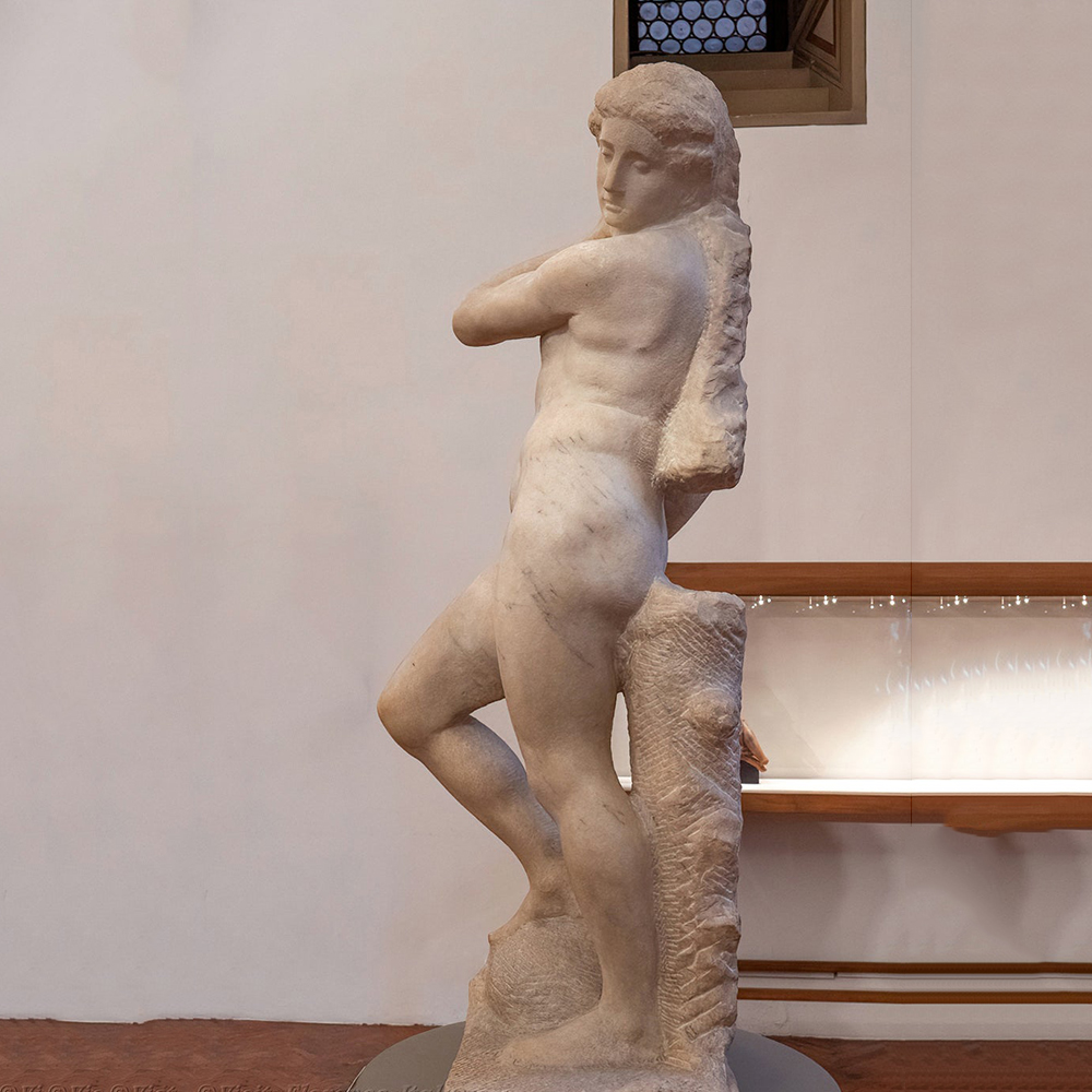Michelangelo Statue in Florence Apollo view