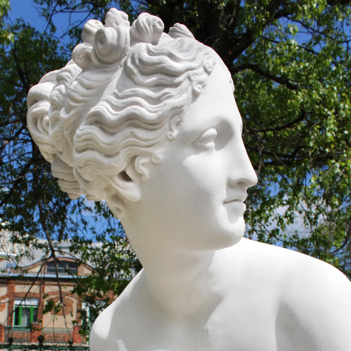 Venus italica sculpture marble face detail