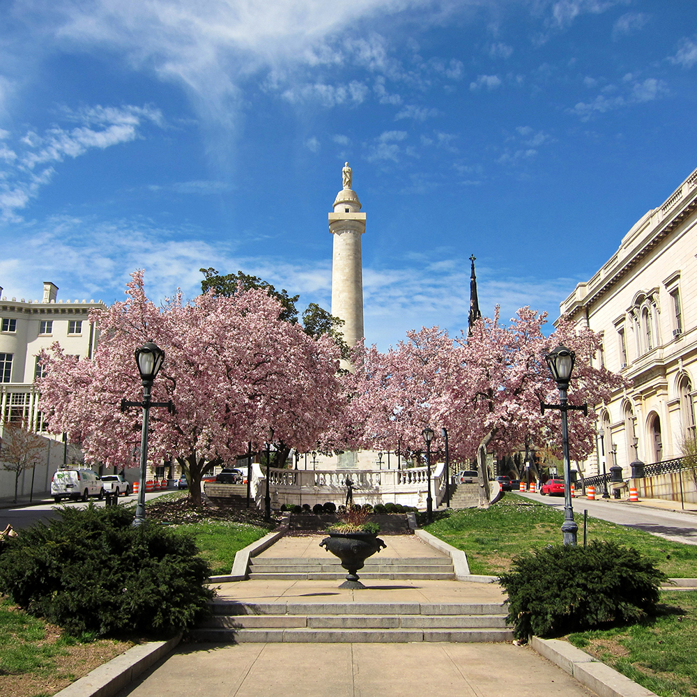 Baltimore Washington Monument framed by spring blossoms