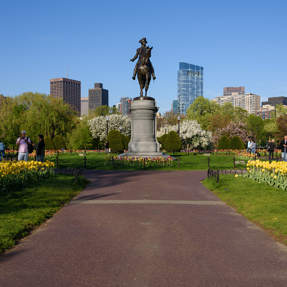 Boston bronze rider monument among spring flowers
