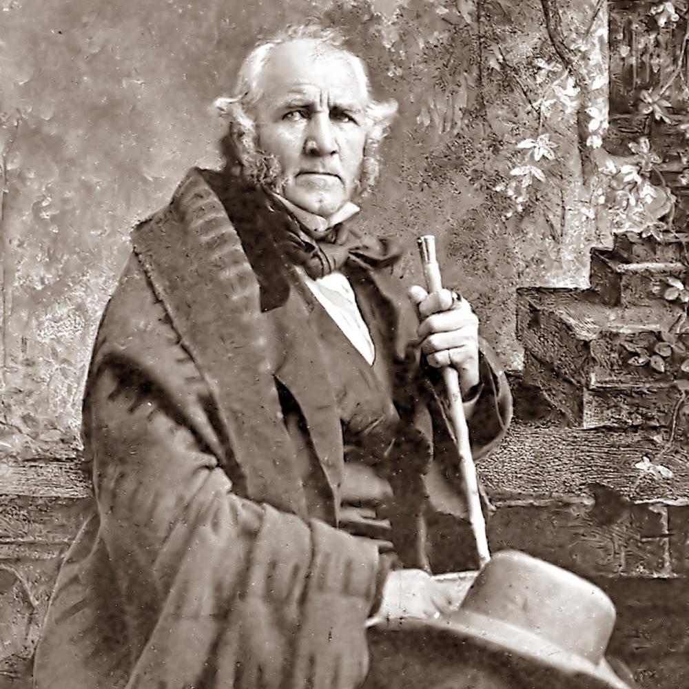 Sam Houston by Mathew Brady